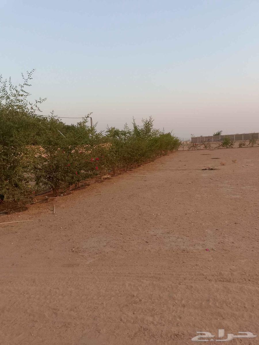 Installation Contractor for Fences and Landscape Design for Resorts Contact 05334215964192621352707110