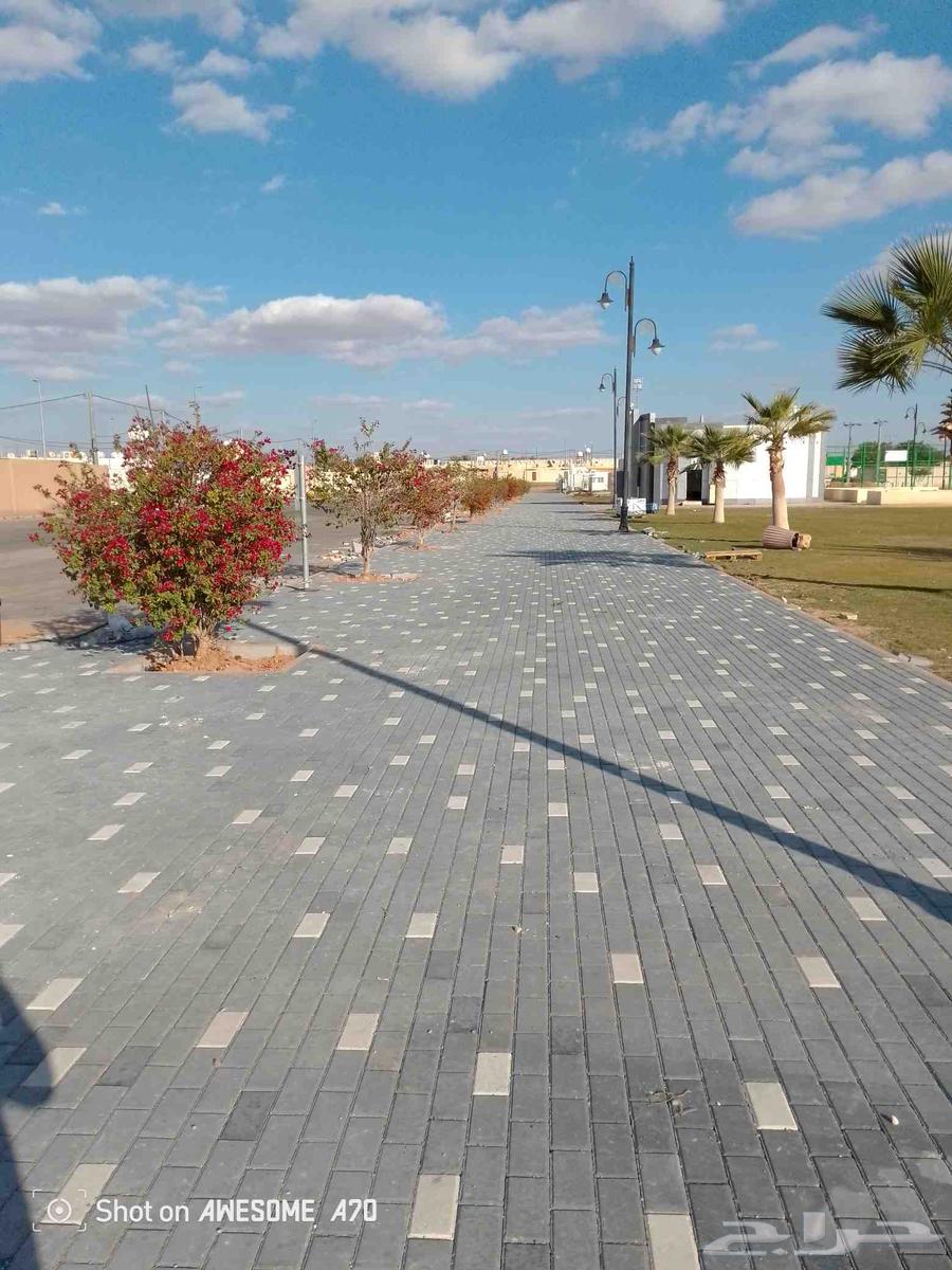 رياض الخبراء64206008724610110