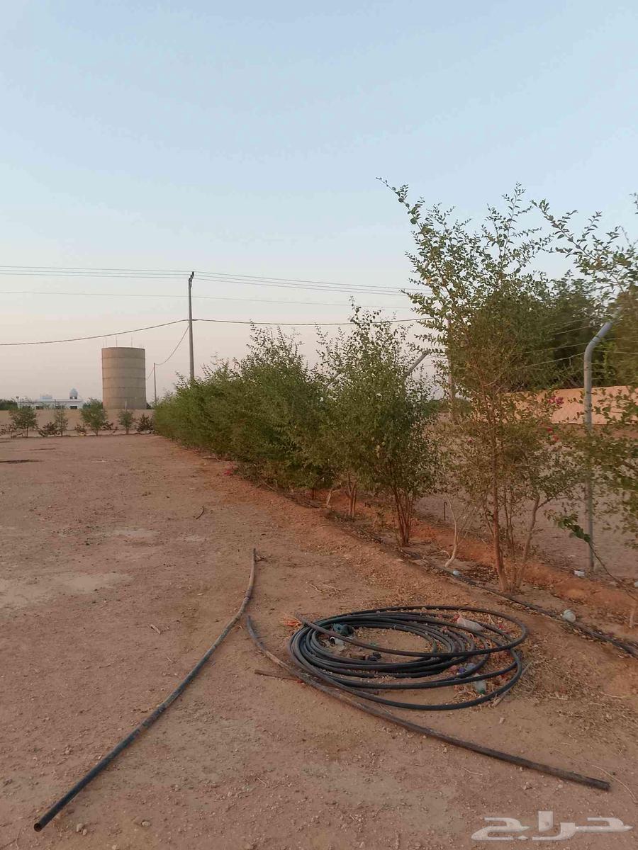 Installation Contractor for Fences and Landscape Design for Resorts Contact 05334215964192621352707111