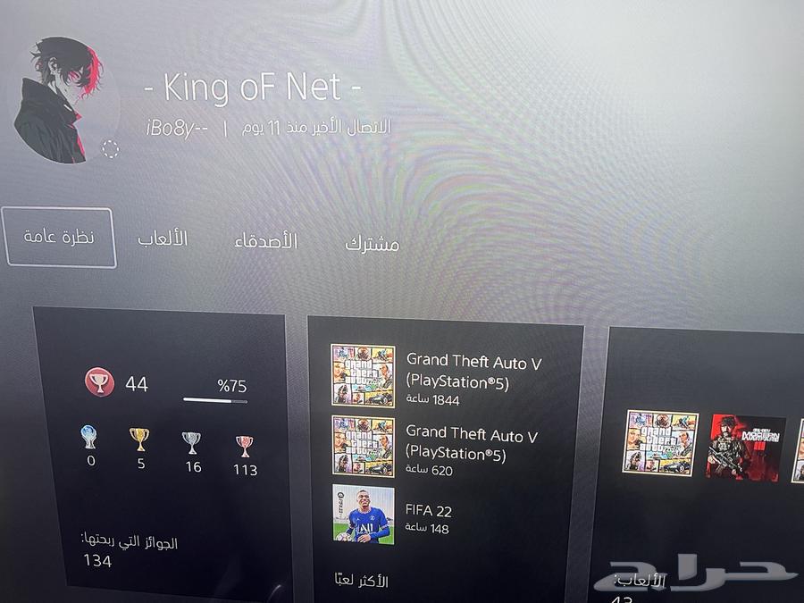 Sony Grand ID iD ibo8y (Active Pilot Lightning) Rare NetKet Account64836937229954110