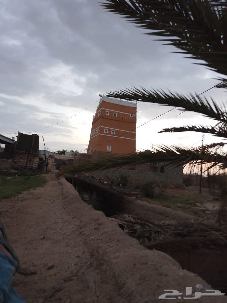 ترميم القصور القديم وإعادتها في مناطق عسيروماجاورها64192853782659113
