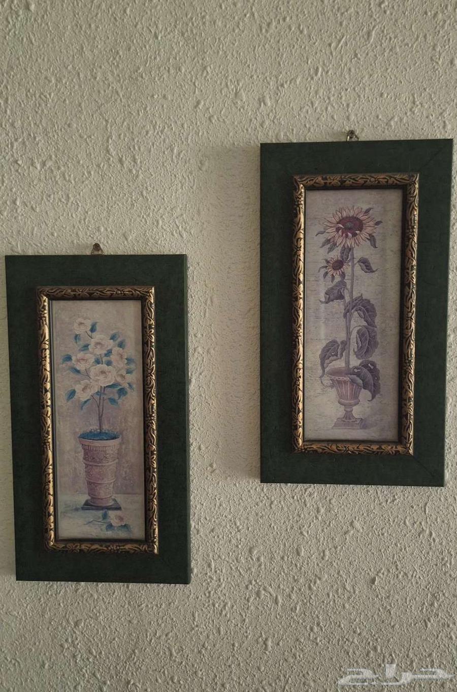 Wall Art with Salon Decor64836832928257113