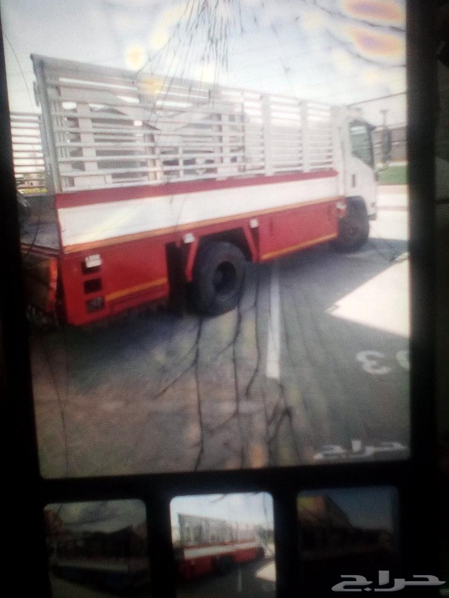 دينا نقل عفش64215987289985110