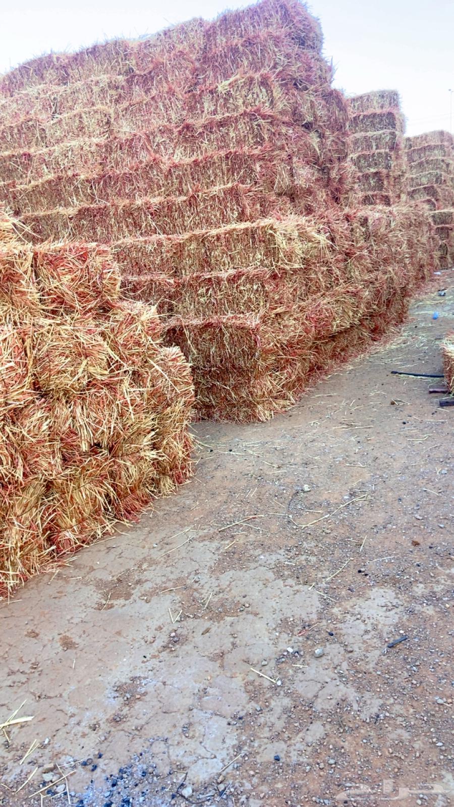 ذره للبيع64555012202498112