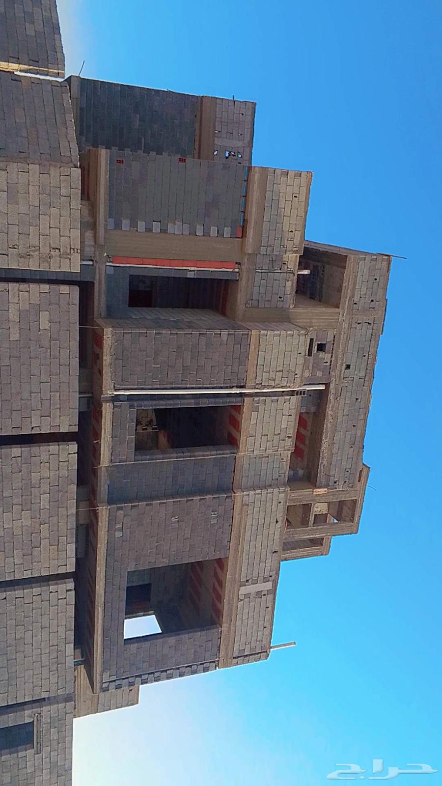 مقاول معماري مصنفه64195045689346112