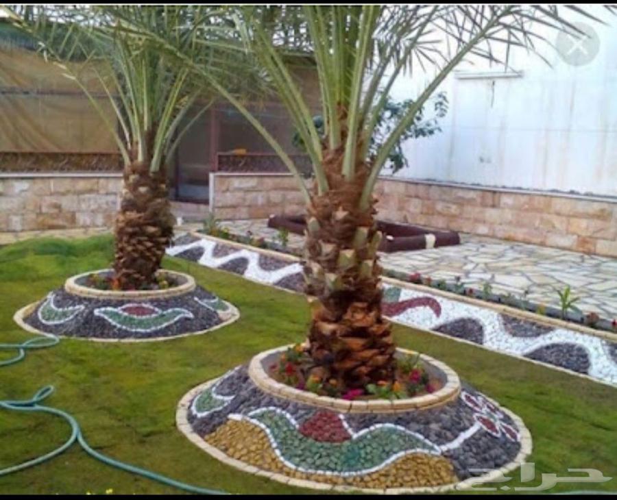 High-quality gardens landscaping, decorations, waterfalls, fountains, swimming pools, seating areas64193103131265112