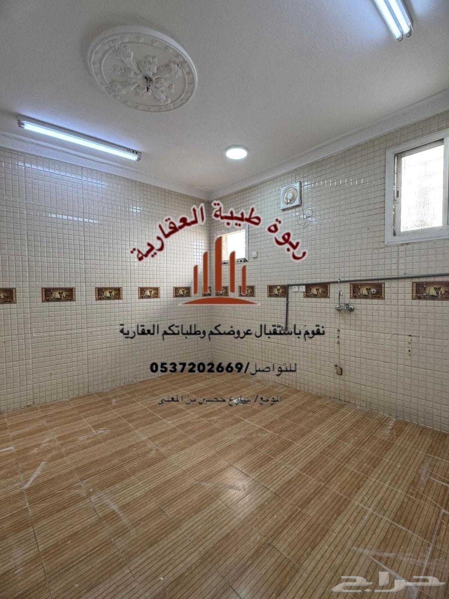 شقة للإيجار