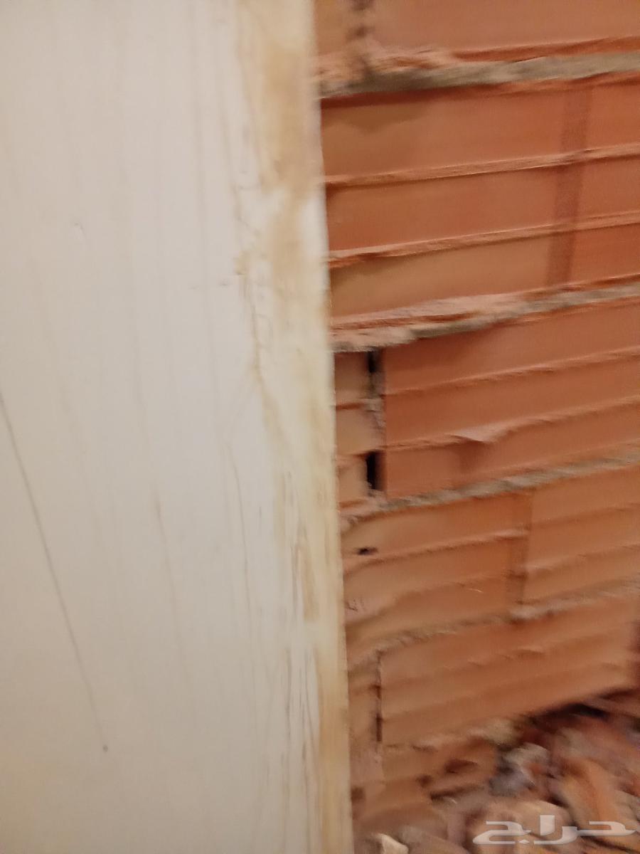 Breaking walls not ceilings64193325349378113