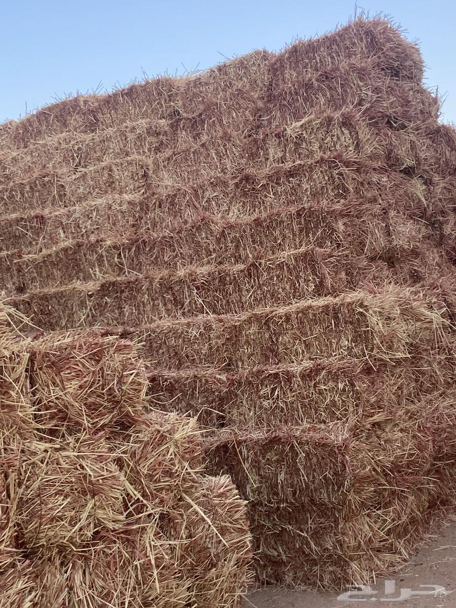 ذره للبيع64555012202498111