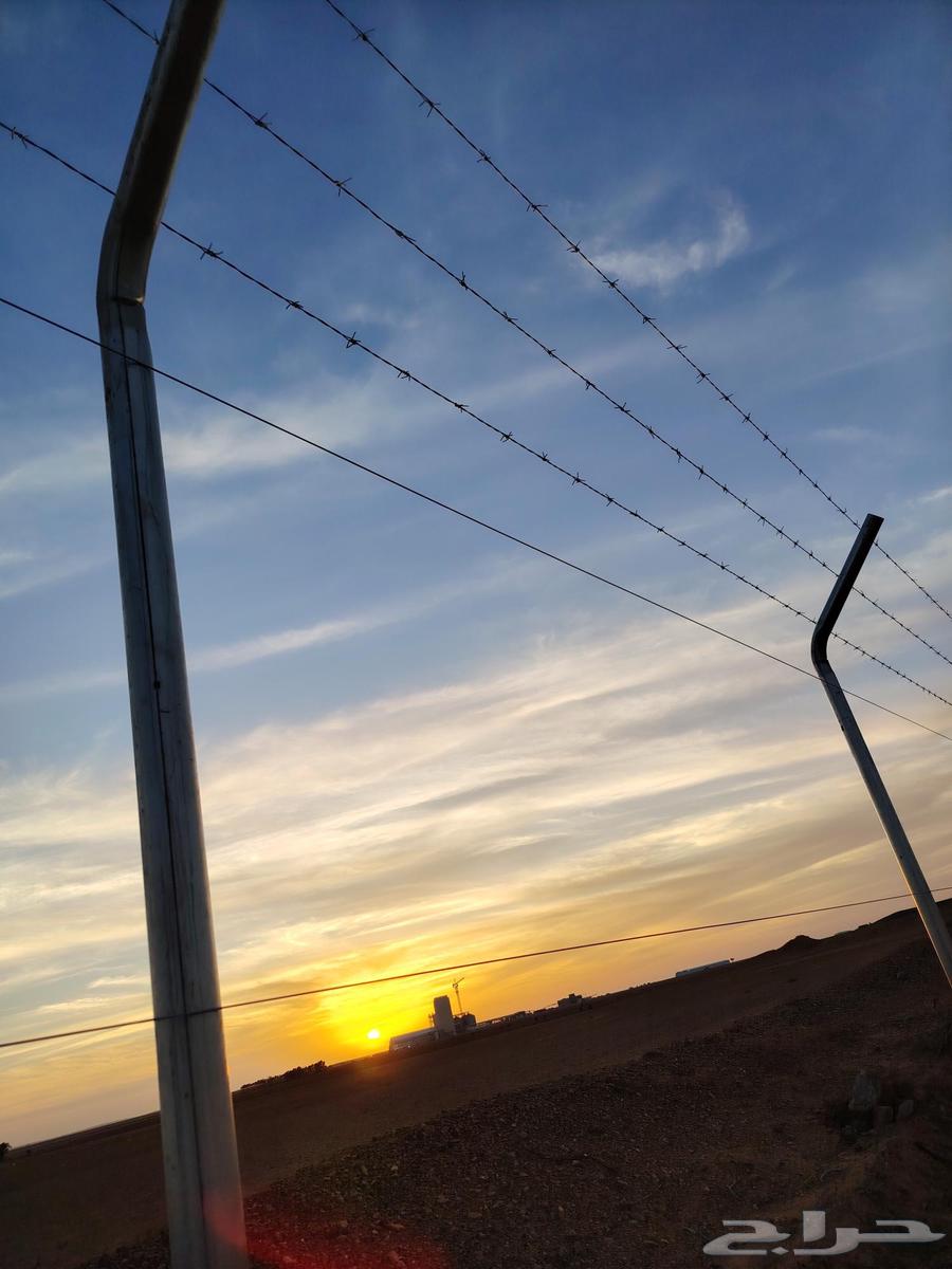 شبوك مزارع الرياض الجله المزاحميه شقراء الدوادمي ضرما نساح د64193823230593113