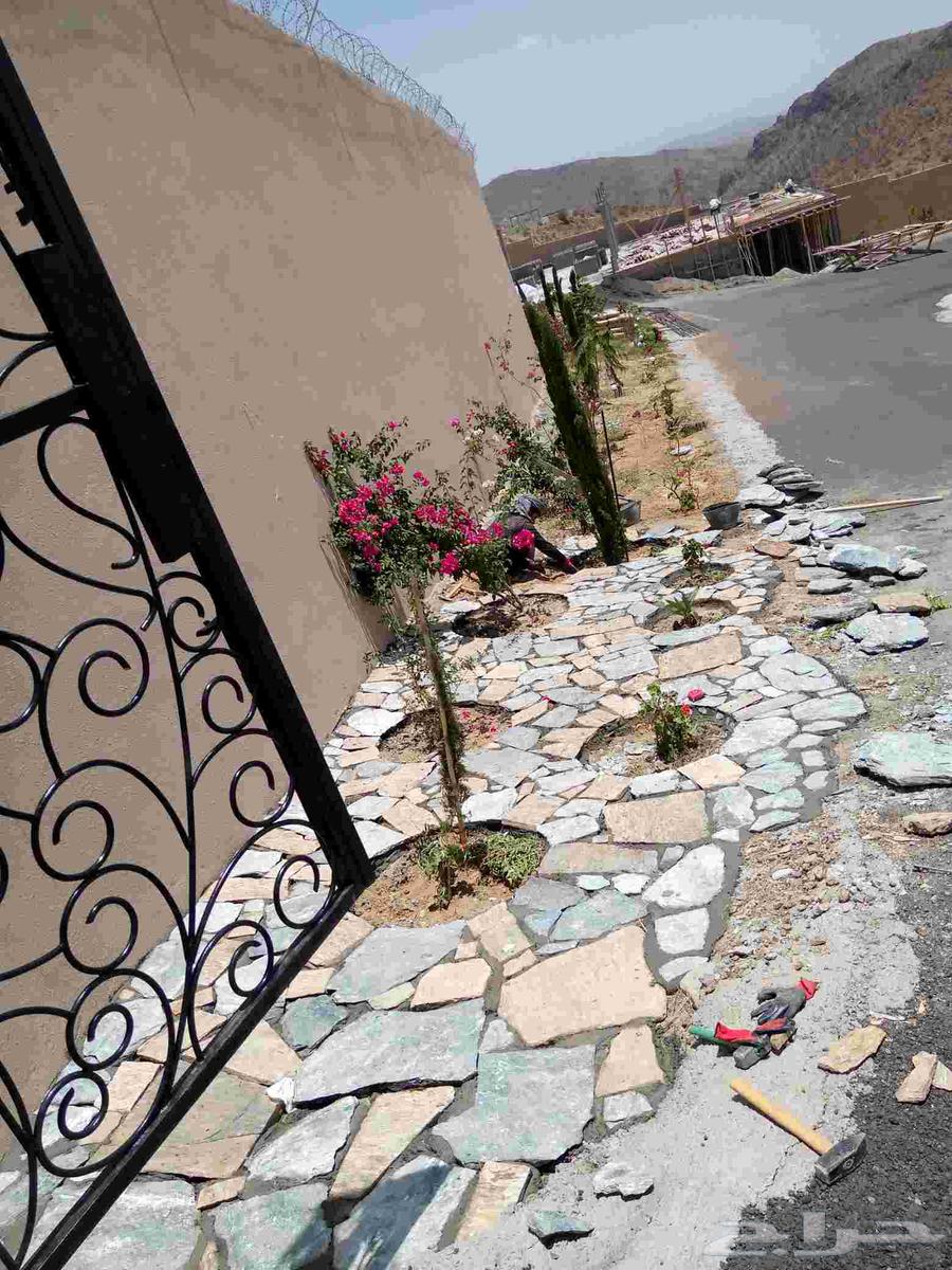 معلم حجر في الباحه64194358352769113