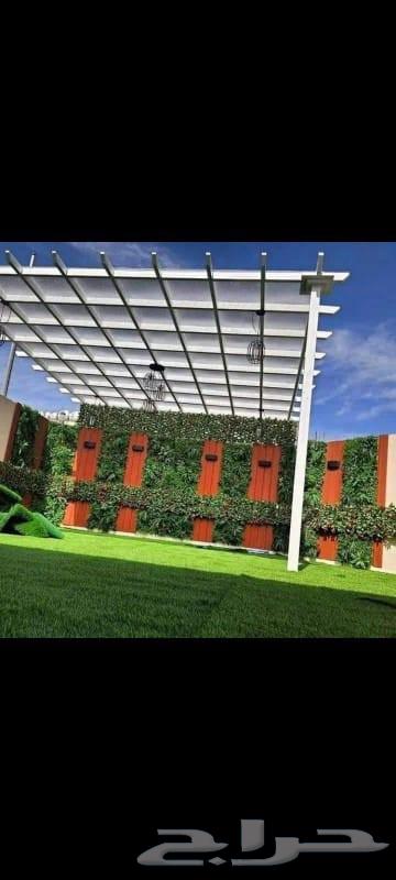 Sessions with grass accessories and decorations for contact64194573505923113