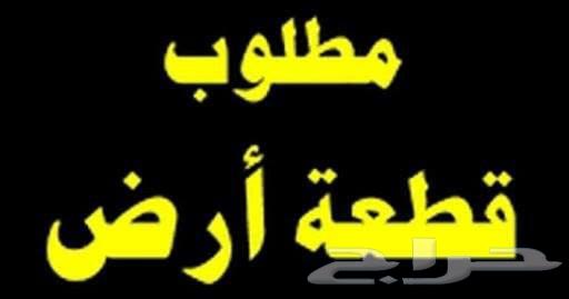مطلوب أرض64157090257537110