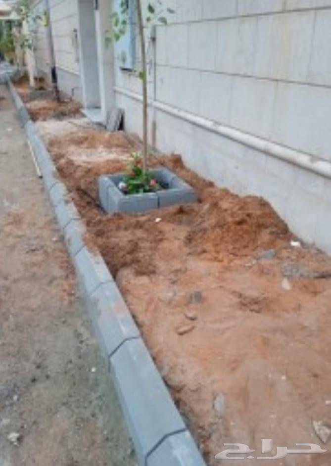 ترميم وتكسير المدينة المنورة64194572246018112