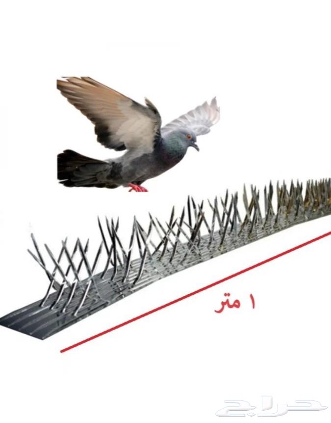 شركه تركيب شبك اشواك الحمام64193102208131110
