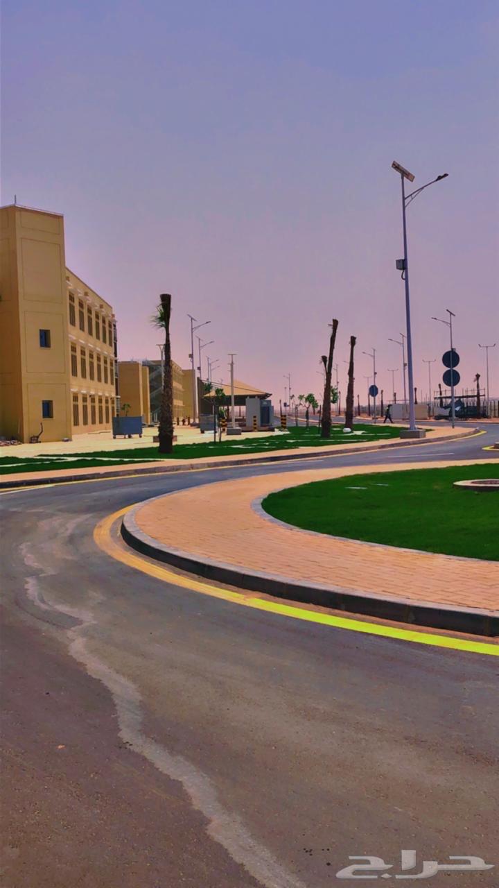 Asphalt contractor carrying out all asphalt works, asphalt scraping64195044908291113