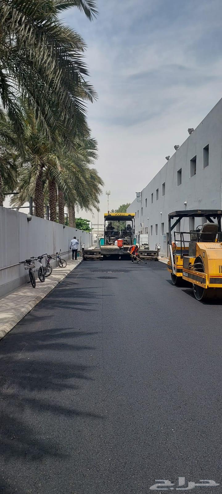 المدينة المنورة64194573351937112