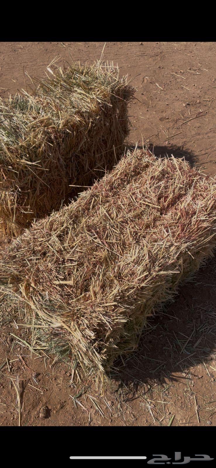 ذره للبيع64555012202498113