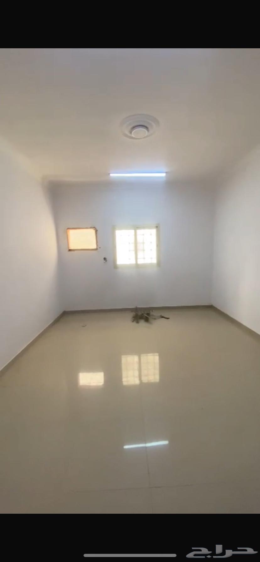 شقه للايجار حي الرمال64157312360065114