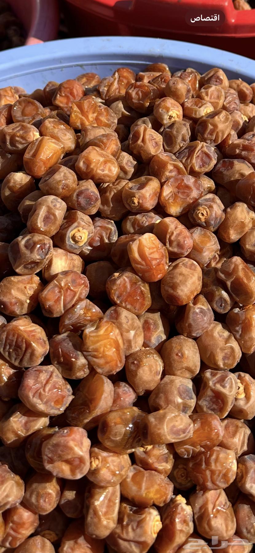 Dates from Al-Burayhi and Maktoomi, large sizes from east of Hail64557851652867111