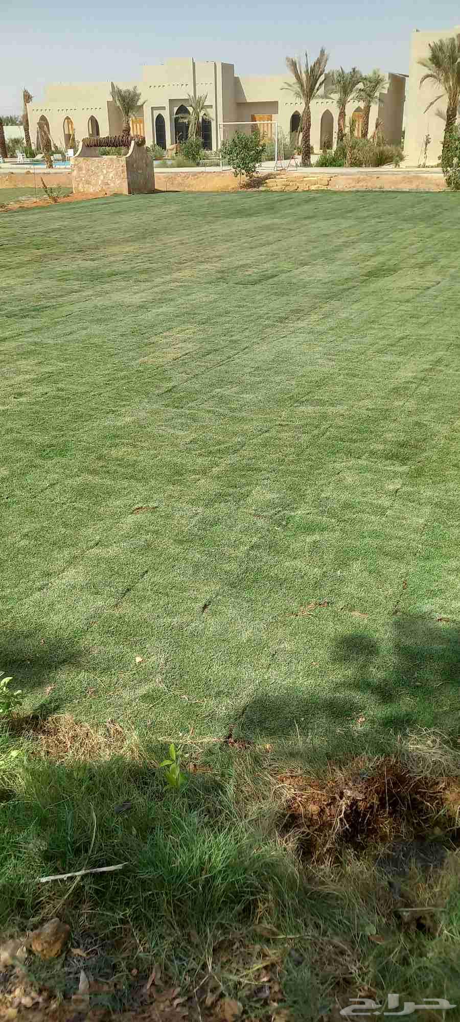 تنسيق حدائق زراعة طبيعي64194799109762113