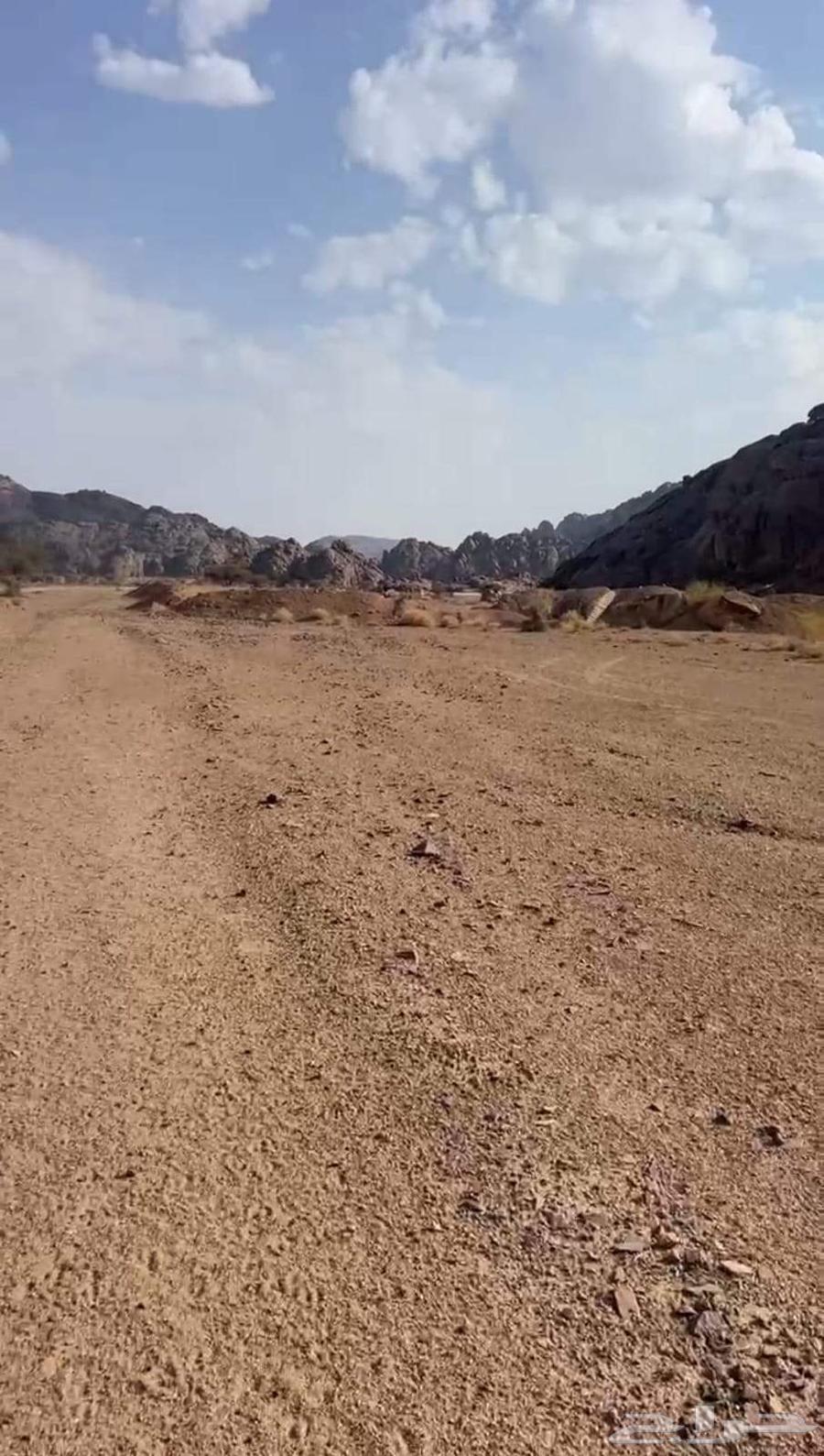 Mining Services64193827546369112