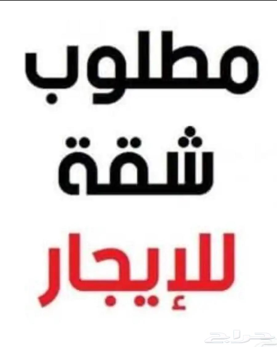 مطلوب شقه او بيت شعبي ايجار شهري64253979515777110