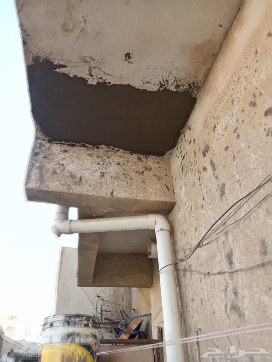 ترميم وتكسير المدينة المنورة64194572246018114