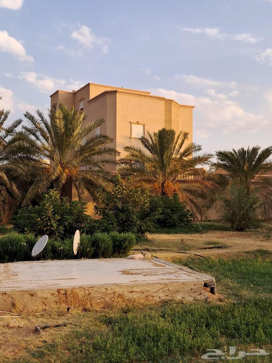 مزرعة للبيع