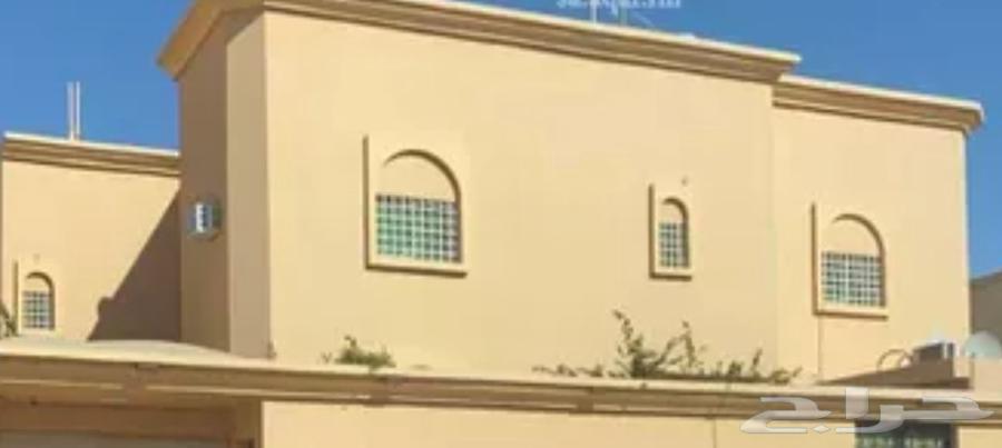 غرفة للإيجار