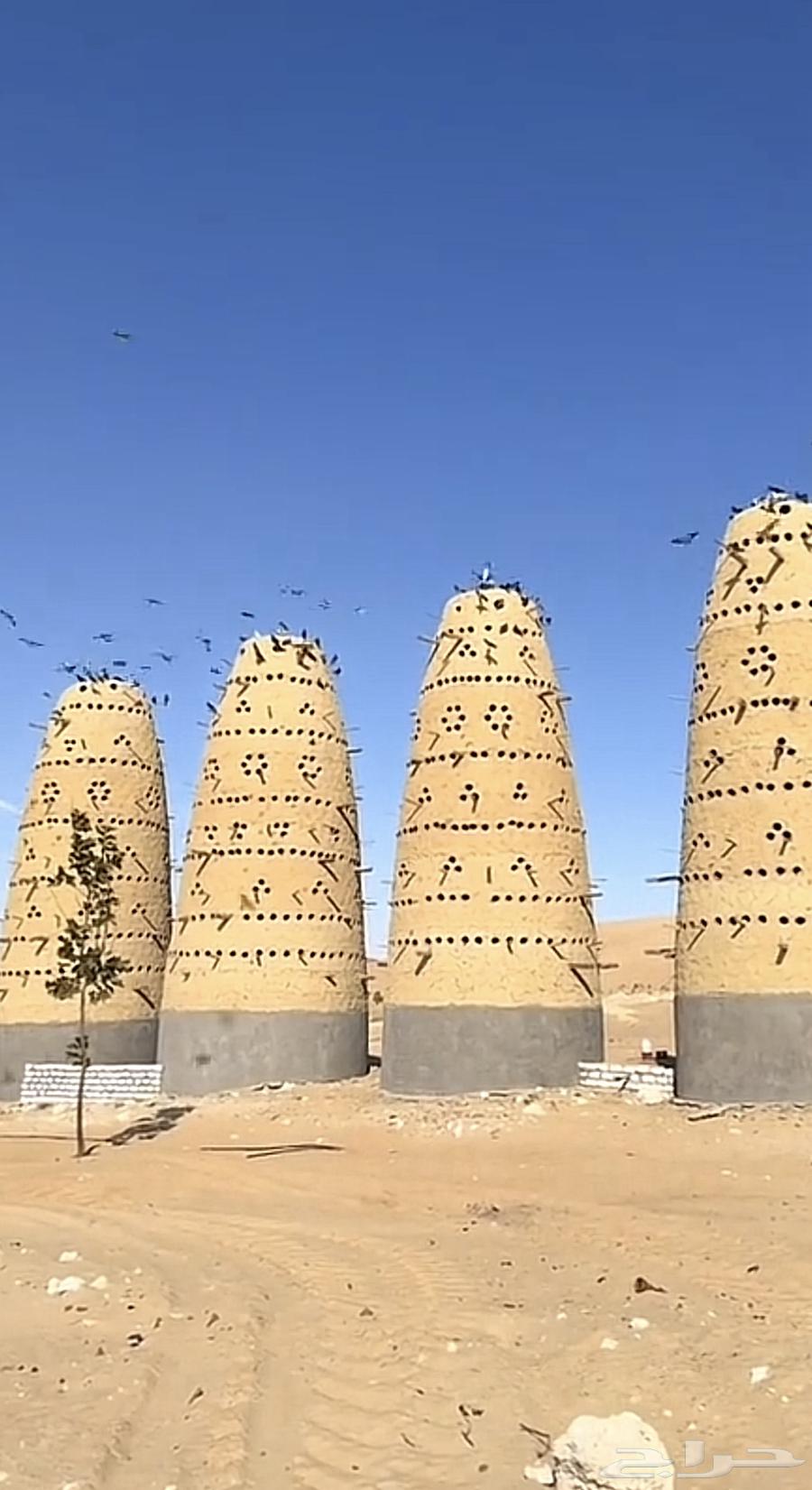 بناء ابراج الحمام والعنبر64193825960450111
