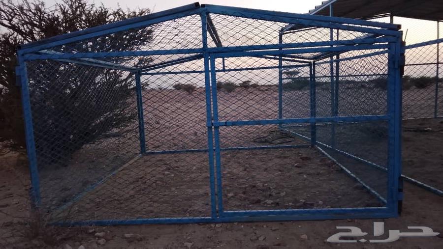 شبوك64196534336899111