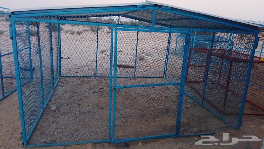 شبوك64196534336899112