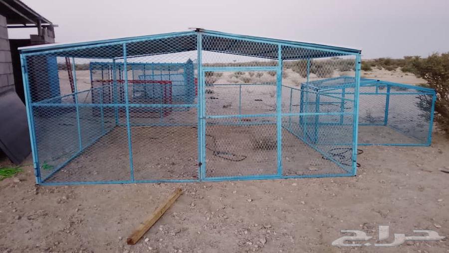 شبوك64196534336899110