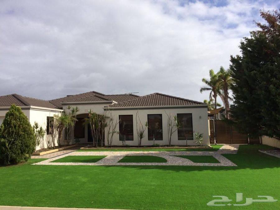 معلم نجيله64196746121218111