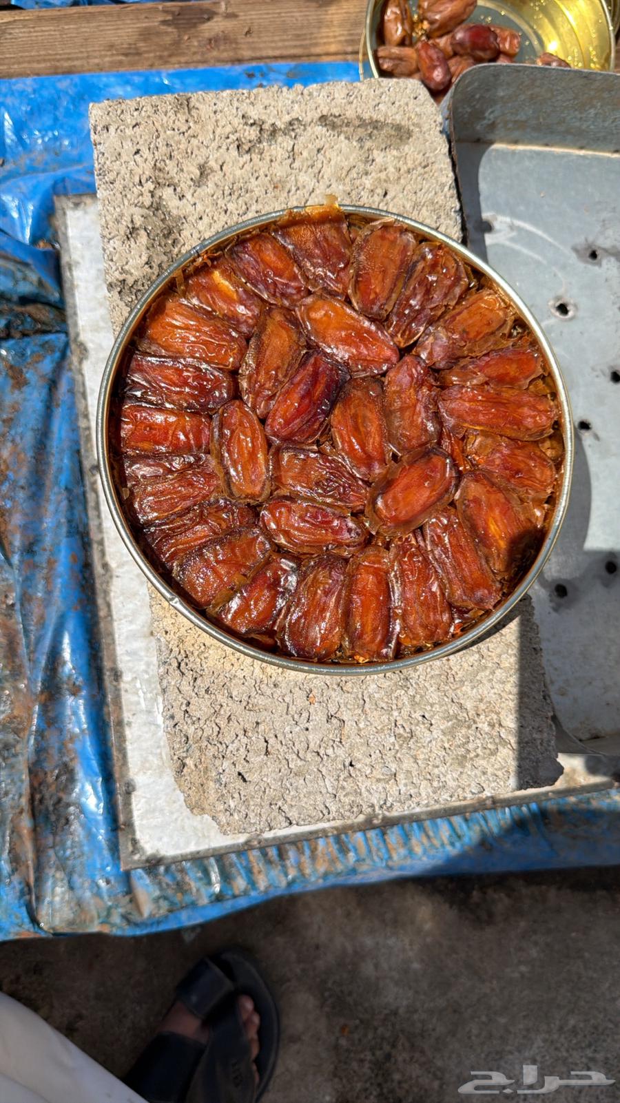 للبيع تمر صفري درجة أولى64504517443713114