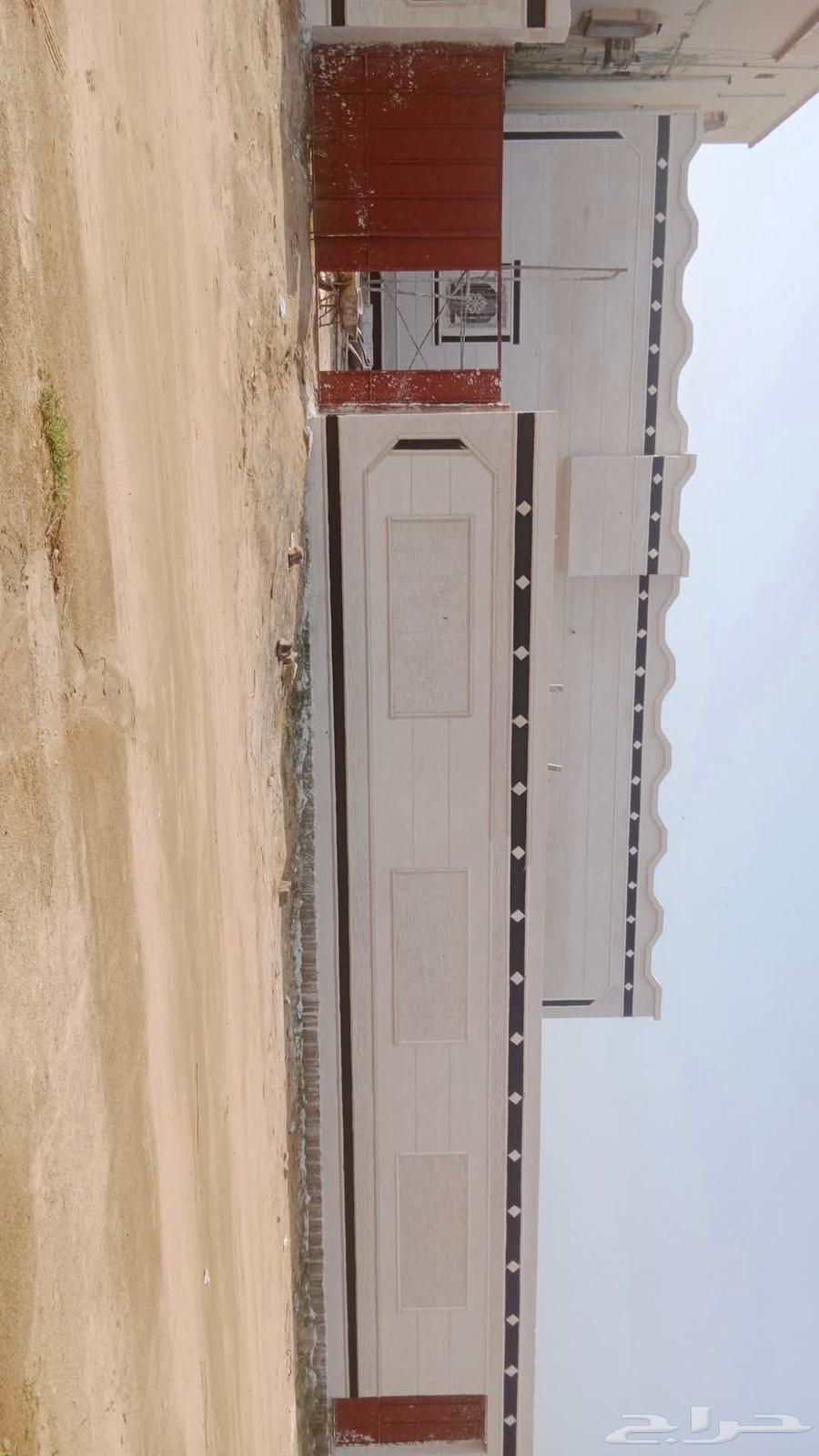 بديل الحجر64196337240962110