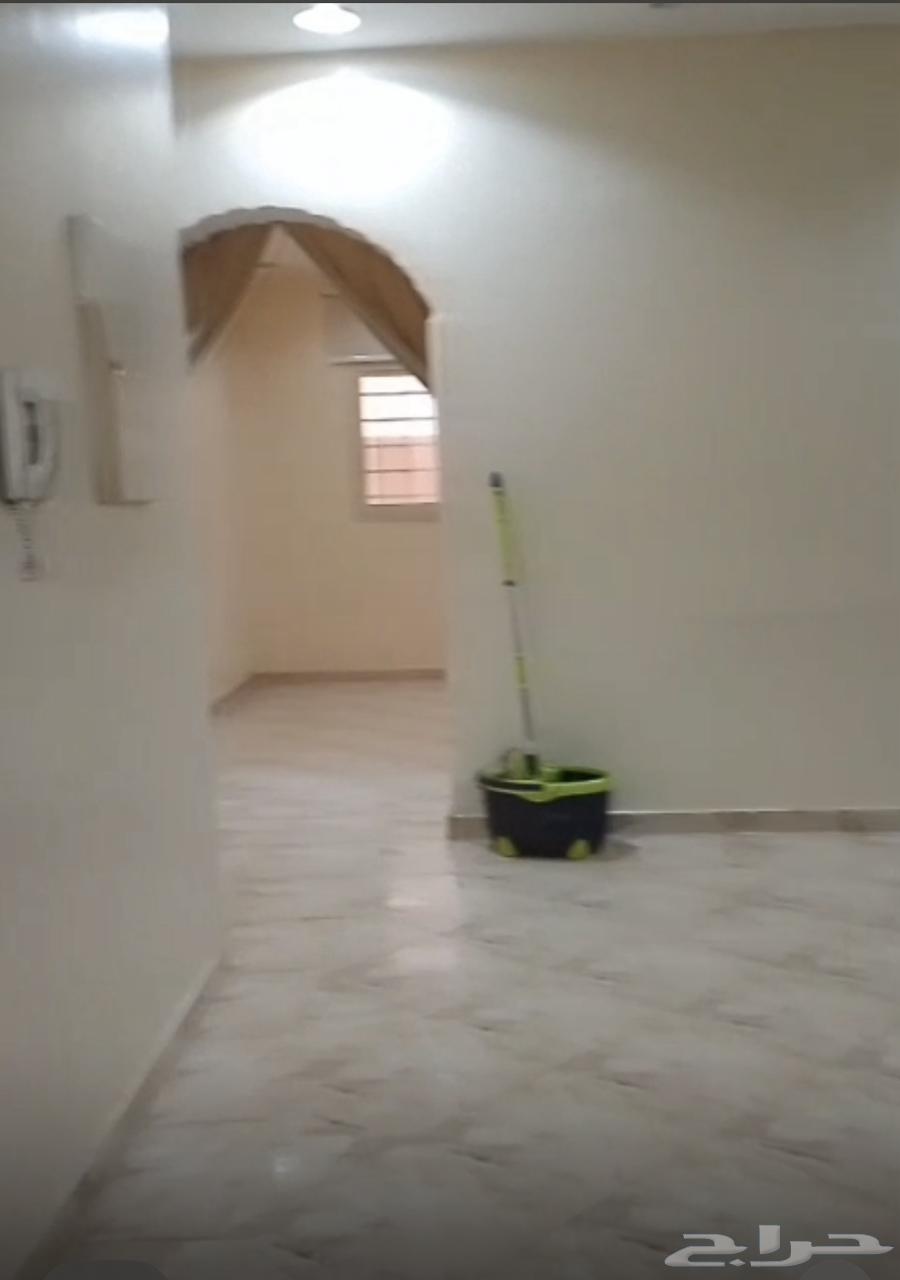شقة صغيرة للإيجار بالعرفاء الشرقية الجوادا خلف محطة ساسكو64157952784769111