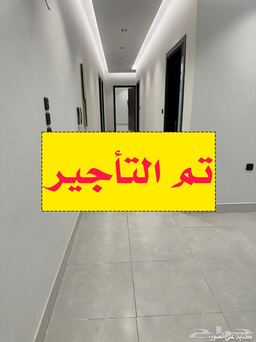 شقة للإيجار