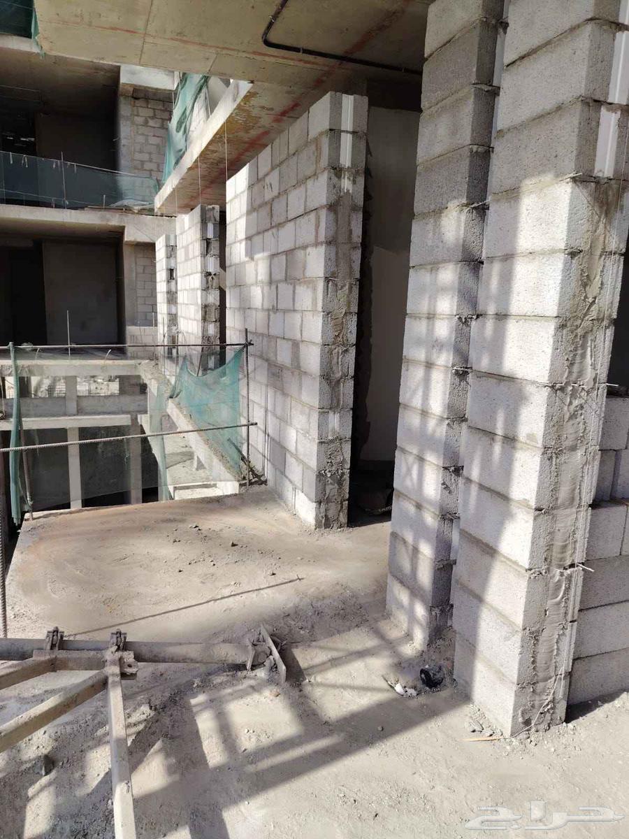 Building and plastering technician and all repairs64448341288962110