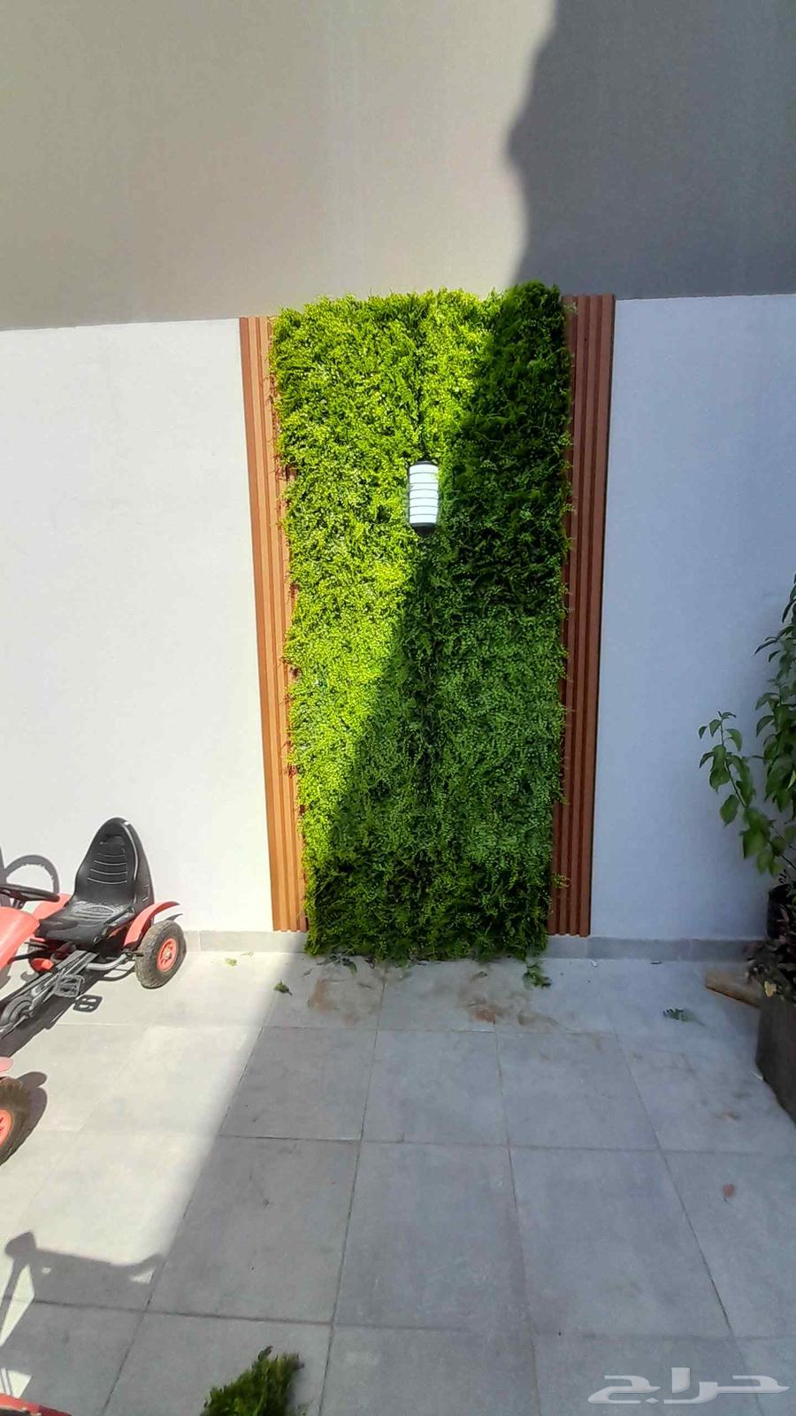 ترتيب الجداري والصناعي64195691887874112