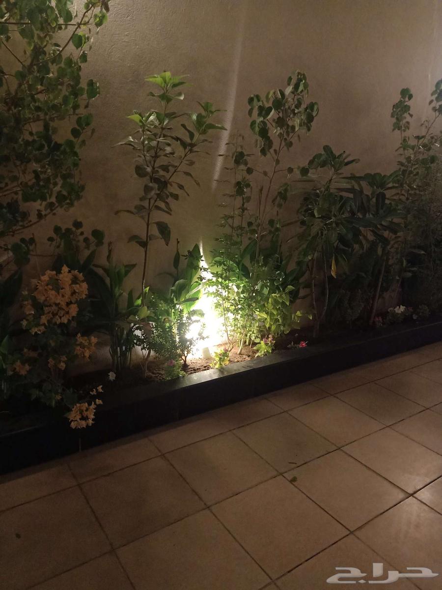 مشتل زراعي الرياض حي الملقا طريق الملك سلمان64195689086337112