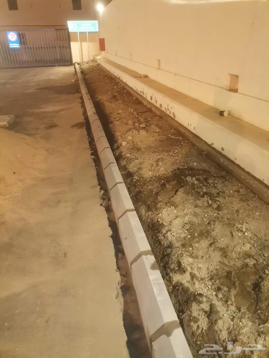 معلم بندورة وانتلك64195462841474110