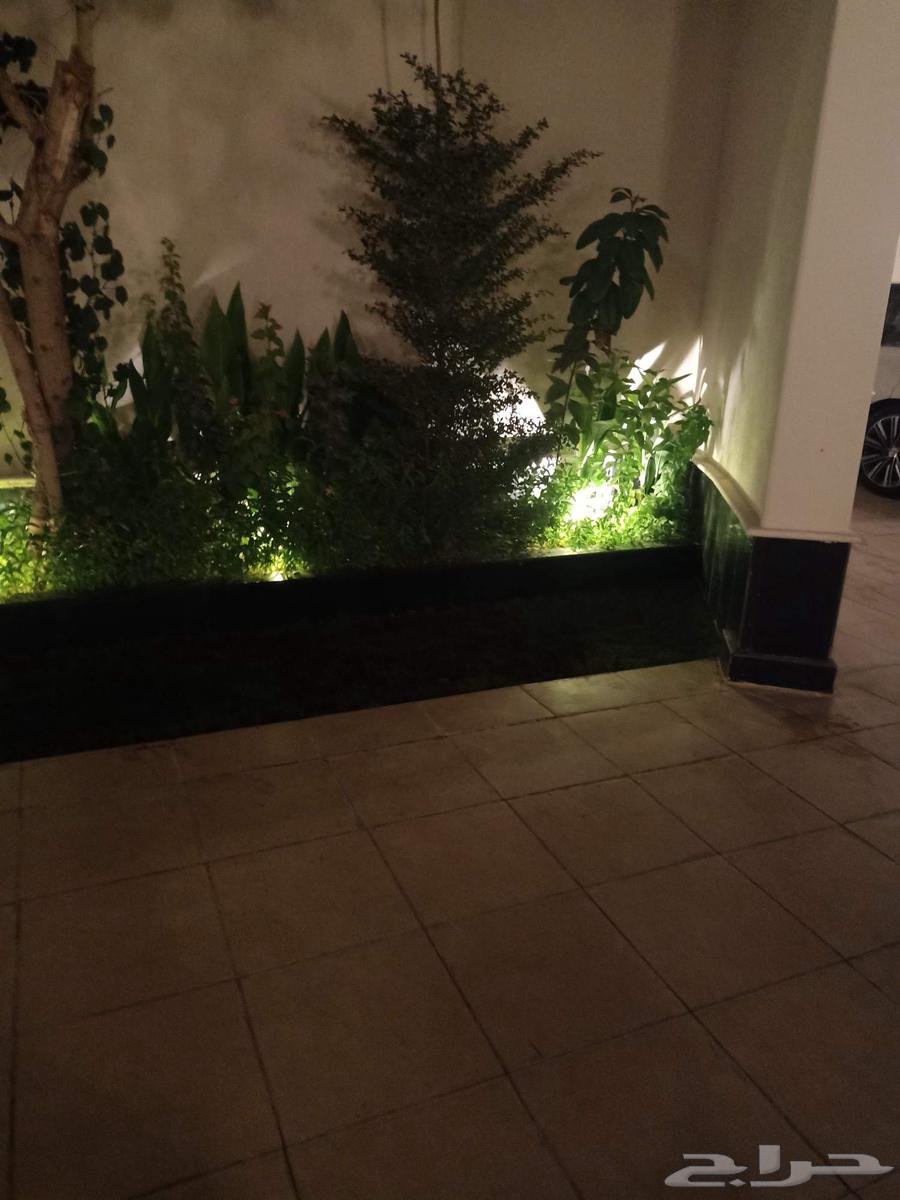 مشتل زراعي الرياض حي الملقا طريق الملك سلمان64195689086337110