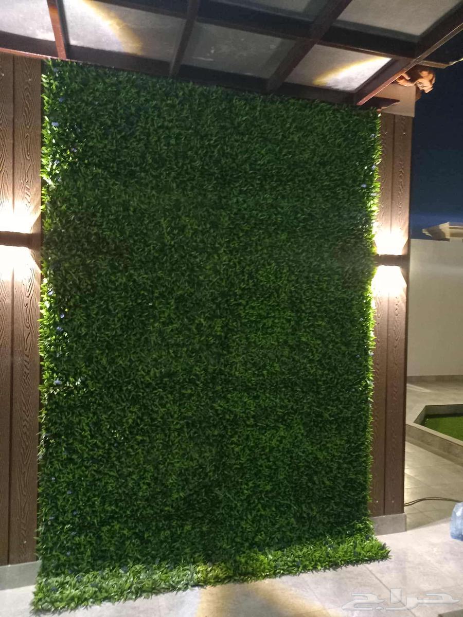 مشتل ابناء الصعيد64196538107907114