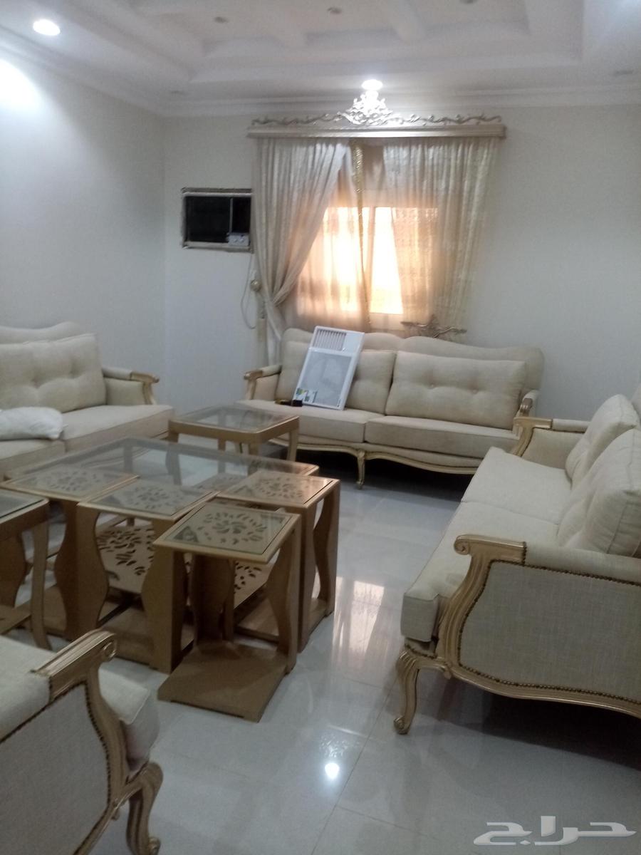 نقل عفش بالمدينة شركة نقل عفش بالمدينة المنورة64196336886146113
