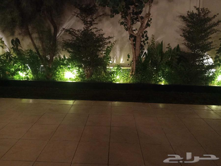 مشتل زراعي الرياض حي الملقا طريق الملك سلمان64195689086337111