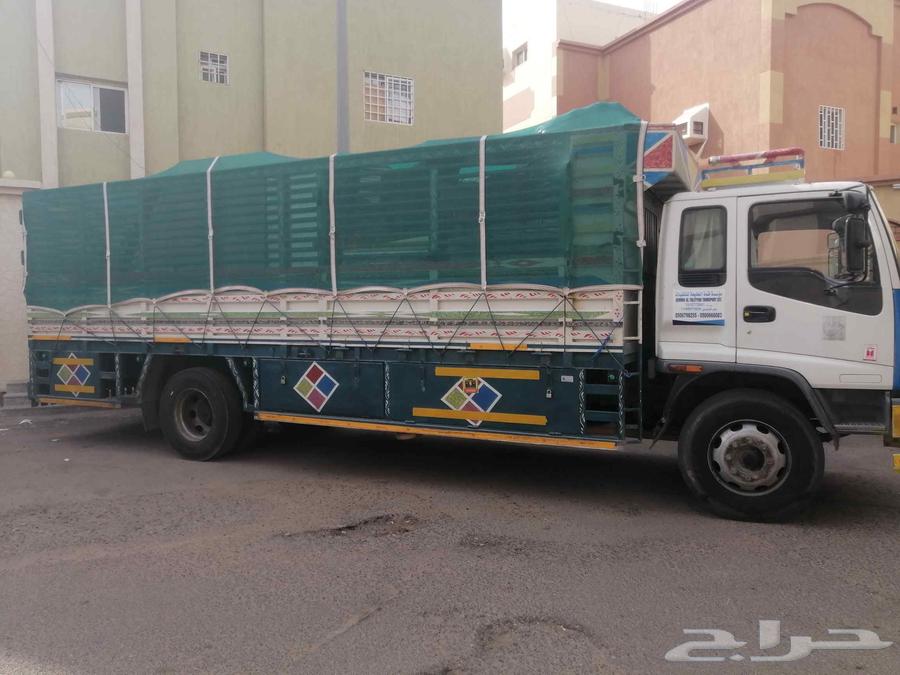 شركة نقل عفش بتبوك64196536491394113