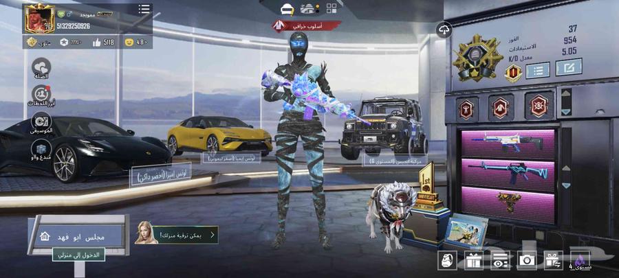 حساب ببجي للبيع لفل 7664609163370241110