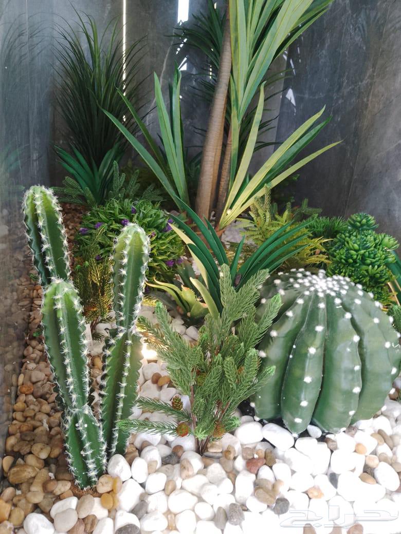 معلم نجيله64196746121218113